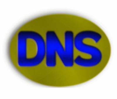 DNSDataView